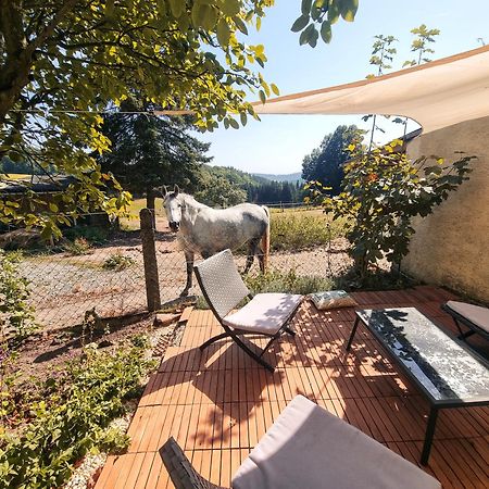 2 Zimmer Wohnung Mit Traumhaftem Blick In Die Natur Neustadt bei Coburg Exteriör bild