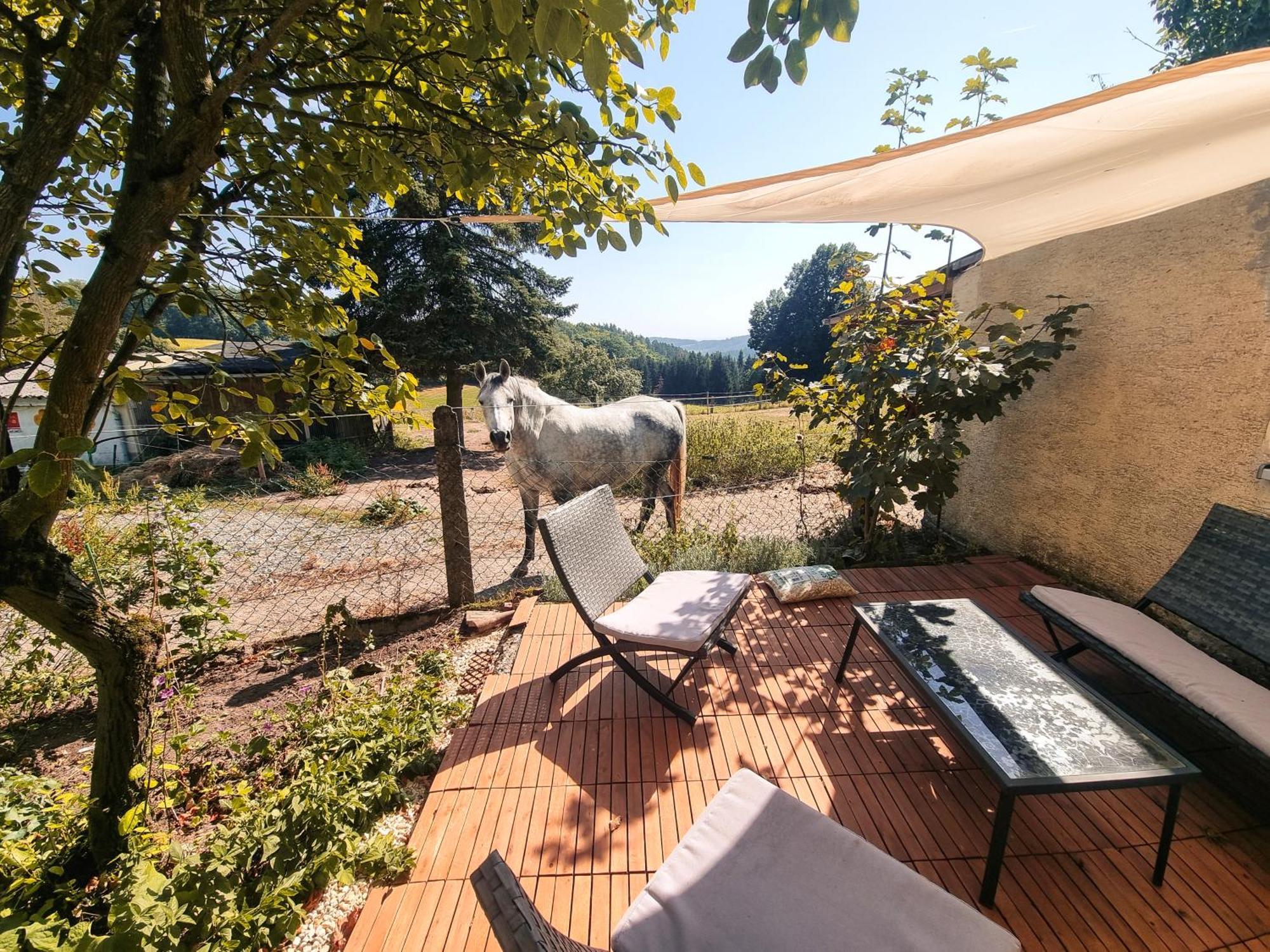 2 Zimmer Wohnung Mit Traumhaftem Blick In Die Natur Neustadt bei Coburg Exteriör bild